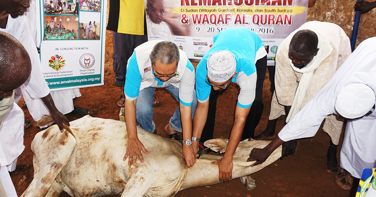 Tidak Boleh Gabung Niat Penerima Daging Haruslah Beragama Islam Ketahui Perbezaan Antara Korban Aqiqah Sebelum Laksanakannya